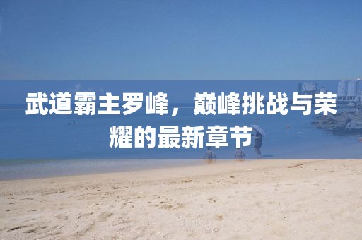 武道霸主羅峰，巔峰挑戰(zhàn)與榮耀的最新章節(jié)