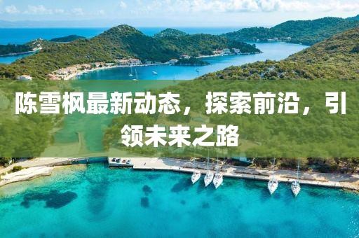 陳雪楓最新動態(tài)，探索前沿，引領未來之路