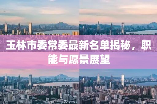 玉林市委常委最新名單揭秘，職能與愿景展望