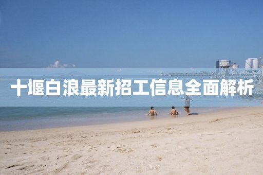 十堰白浪最新招工信息全面解析