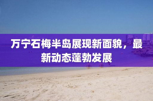 萬寧石梅半島展現(xiàn)新面貌，最新動態(tài)蓬勃發(fā)展