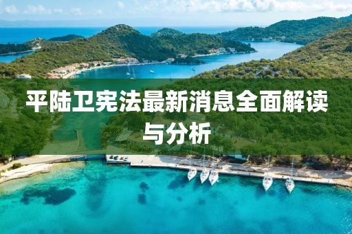 平陸衛(wèi)憲法最新消息全面解讀與分析