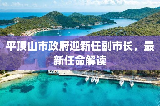 平頂山市政府迎新任副市長，最新任命解讀