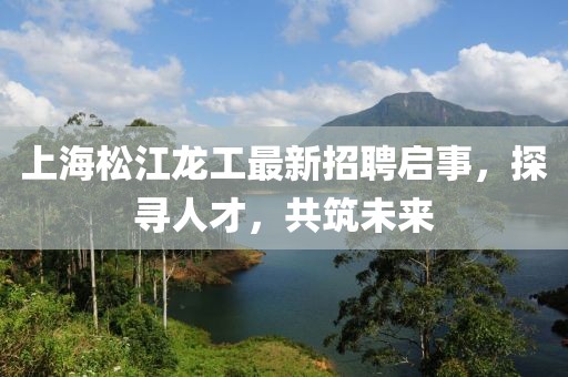 上海松江龍工最新招聘啟事，探尋人才，共筑未來