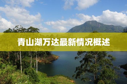 青山湖萬達(dá)最新情況概述