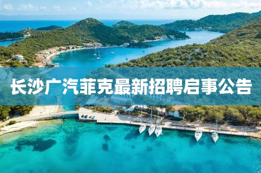長沙廣汽菲克最新招聘啟事公告