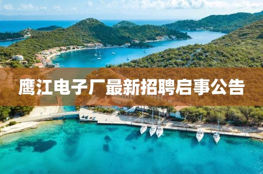 鷹江電子廠最新招聘啟事公告