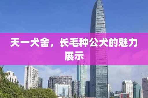 天一犬舍，長毛種公犬的魅力展示