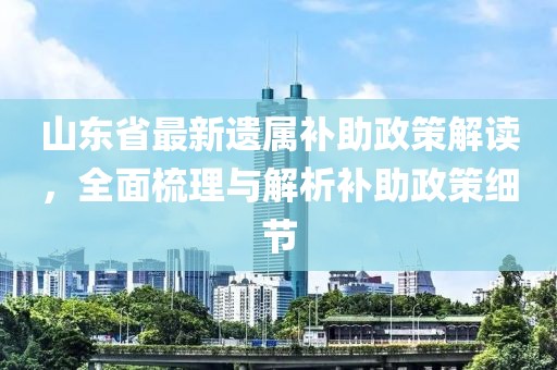 山東省最新遺屬補助政策解讀，全面梳理與解析補助政策細節(jié)