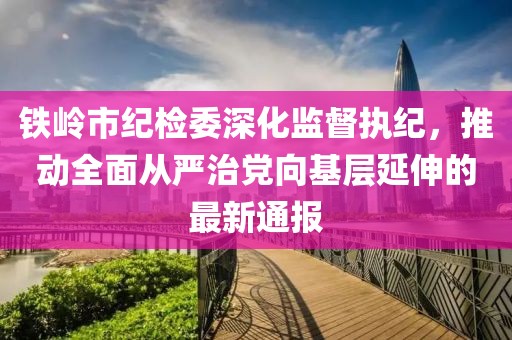 鐵嶺市紀(jì)檢委深化監(jiān)督執(zhí)紀(jì)，推動全面從嚴(yán)治黨向基層延伸的最新通報