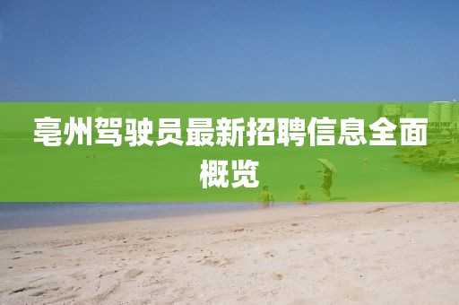 亳州駕駛員最新招聘信息全面概覽