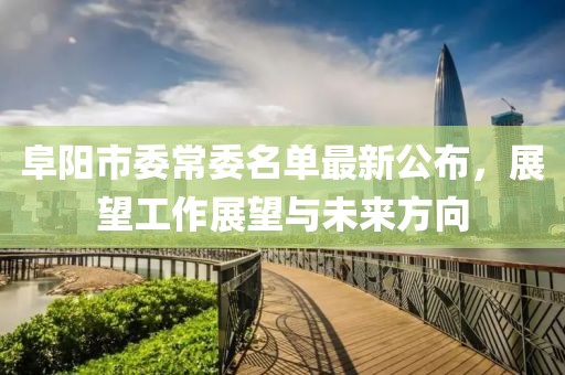 阜陽市委常委名單最新公布，展望工作展望與未來方向