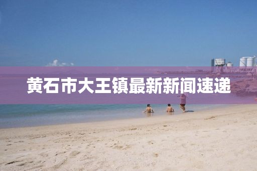 黃石市大王鎮(zhèn)最新新聞速遞