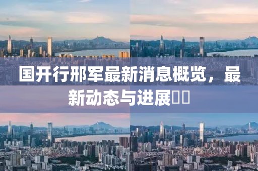 國開行邢軍最新消息概覽，最新動態(tài)與進展??