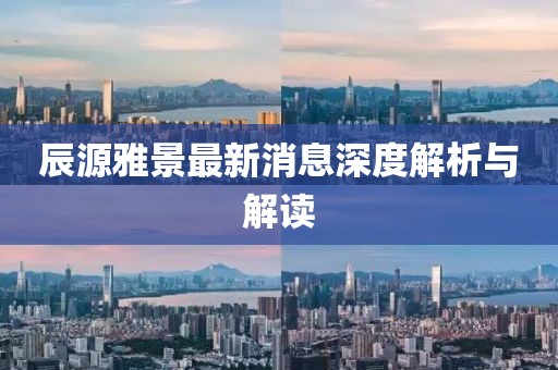 辰源雅景最新消息深度解析與解讀