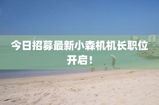 今日招募最新小森機機長職位開啟！