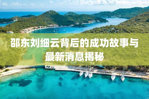 邵東劉細云背后的成功故事與最新消息揭秘