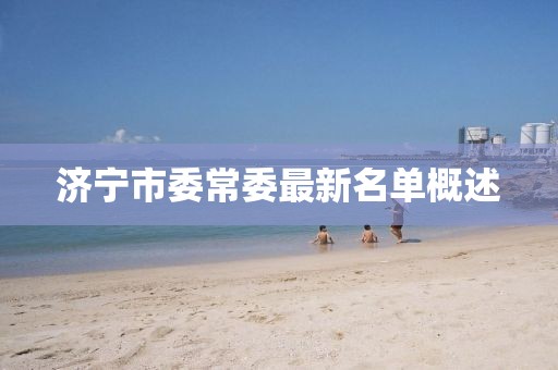 濟寧市委常委最新名單概述