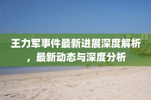 王力軍事件最新進(jìn)展深度解析，最新動(dòng)態(tài)與深度分析