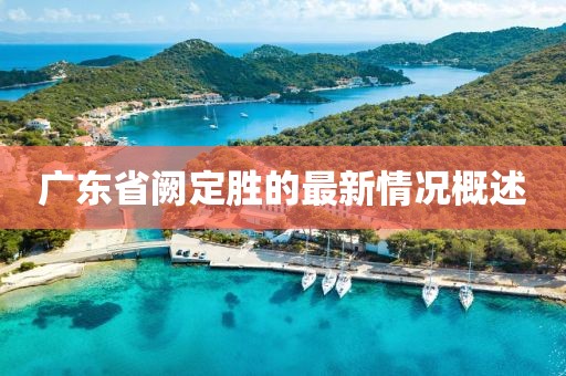 廣東省闕定勝的最新情況概述
