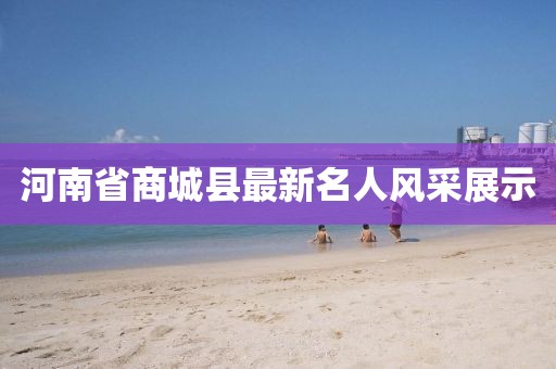 河南省商城縣最新名人風(fēng)采展示