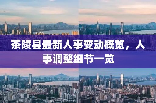 茶陵縣最新人事變動(dòng)概覽，人事調(diào)整細(xì)節(jié)一覽