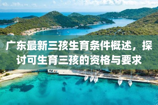 廣東最新三孩生育條件概述，探討可生育三孩的資格與要求