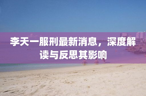 李天一服刑最新消息，深度解讀與反思其影響