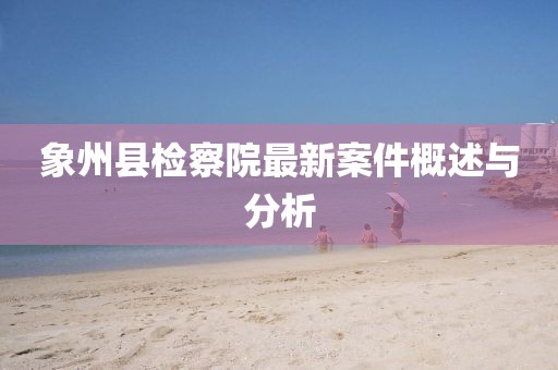 象州縣檢察院最新案件概述與分析
