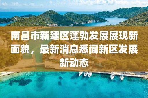 南昌市新建區(qū)蓬勃發(fā)展展現(xiàn)新面貌，最新消息悉聞新區(qū)發(fā)展新動態(tài)