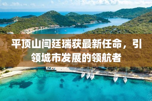 平頂山閆廷瑞獲最新任命，引領城市發(fā)展的領航者