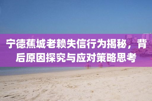 寧德蕉城老賴失信行為揭秘，背后原因探究與應(yīng)對(duì)策略思考