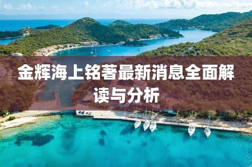 金輝海上銘著最新消息全面解讀與分析