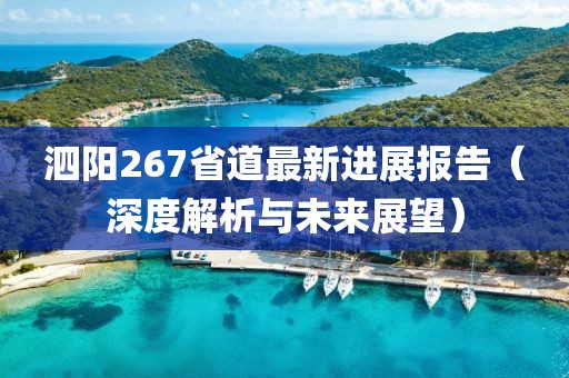 泗陽267省道最新進(jìn)展報告（深度解析與未來展望）