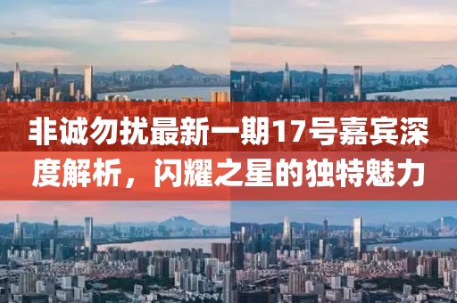 非誠(chéng)勿擾最新一期17號(hào)嘉賓深度解析，閃耀之星的獨(dú)特魅力