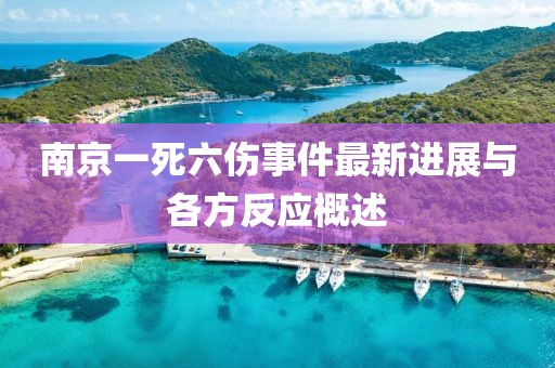 南京一死六傷事件最新進展與各方反應(yīng)概述