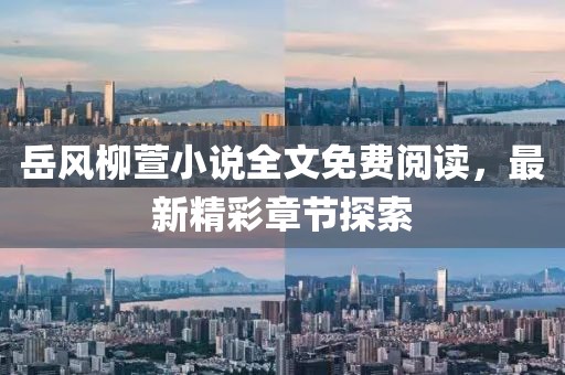 岳風柳萱小說全文免費閱讀，最新精彩章節(jié)探索