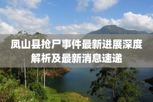 鳳山縣搶尸事件最新進(jìn)展深度解析及最新消息速遞