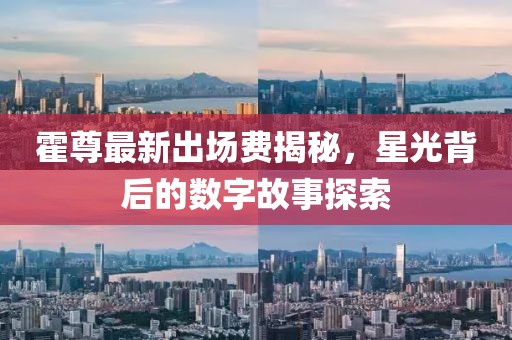 霍尊最新出場費揭秘，星光背后的數(shù)字故事探索