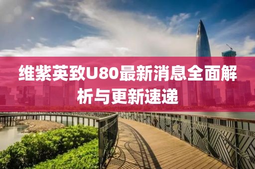 維紫英致U80最新消息全面解析與更新速遞