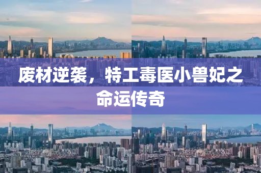 廢材逆襲，特工毒醫(yī)小獸妃之命運傳奇