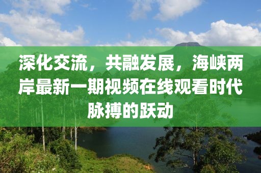 深化交流，共融發(fā)展，海峽兩岸最新一期視頻在線觀看時(shí)代脈搏的躍動(dòng)