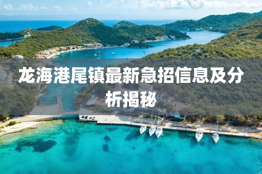 龍海港尾鎮(zhèn)最新急招信息及分析揭秘