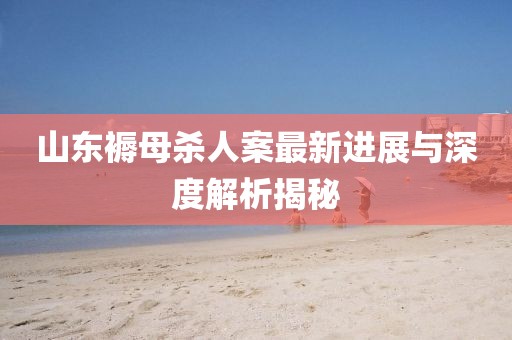 山東褥母殺人案最新進展與深度解析揭秘