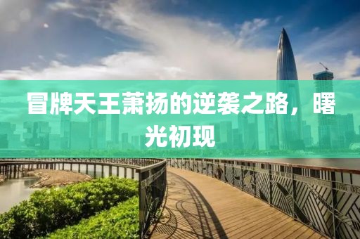 冒牌天王蕭揚(yáng)的逆襲之路，曙光初現(xiàn)