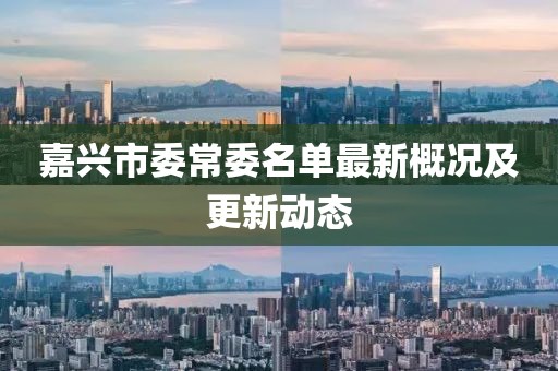 嘉興市委常委名單最新概況及更新動態(tài)