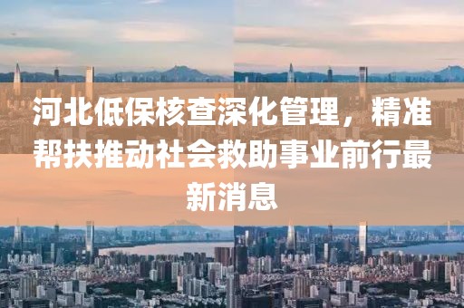河北低保核查深化管理，精準(zhǔn)幫扶推動社會救助事業(yè)前行最新消息