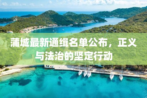 蒲城最新通緝名單公布，正義與法治的堅定行動