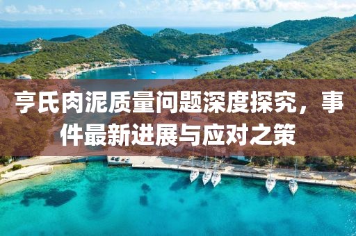 亨氏肉泥質(zhì)量問(wèn)題深度探究，事件最新進(jìn)展與應(yīng)對(duì)之策