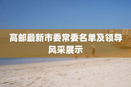 高郵最新市委常委名單及領導風采展示